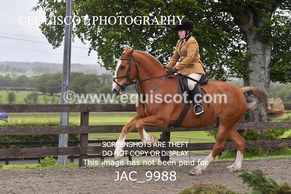 JAC_9988 - CLASS 3 Intermediate Working Hunter (0.70m - 0.85m)