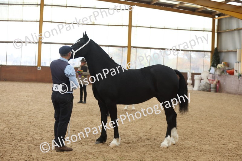 20251109-0950 - Class 26 - 2 and 4 Year Olds