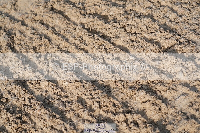 250615A-080220-09528 - Class 42 85cm Amateur Qualifer