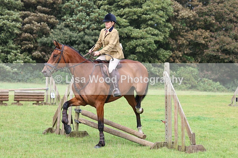 3E7A5835 - Class 26 and 27: 70cm Working Hunter