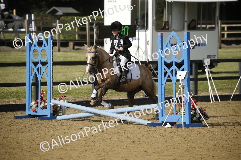 20250622-1188 - 40cm