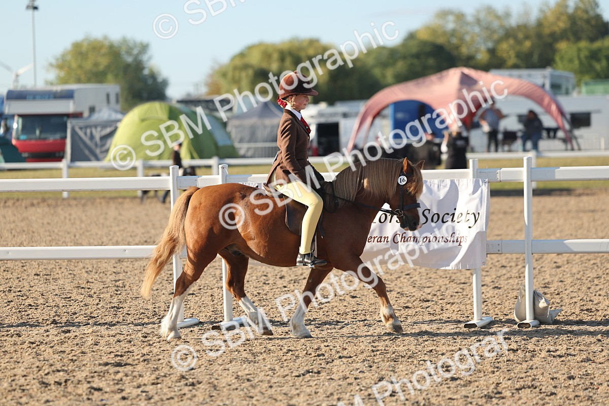 SBM_10891 - Class 301 - Ridden M&M Small Breeds