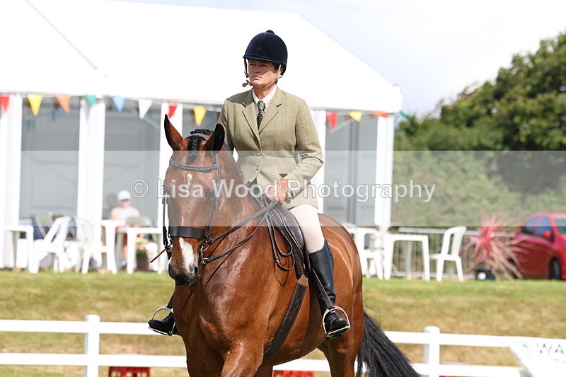 3E7A9399 - Class 4: Rising Star M/H Hunter