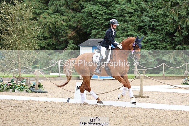 240810-170513-04540 - Elementary Silver