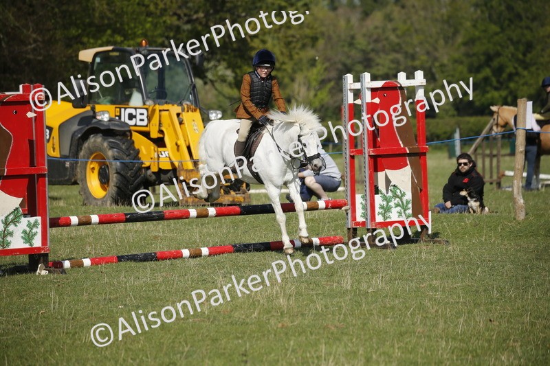 20250427-0428 - Class 12 - Rookie Jumping 40cm