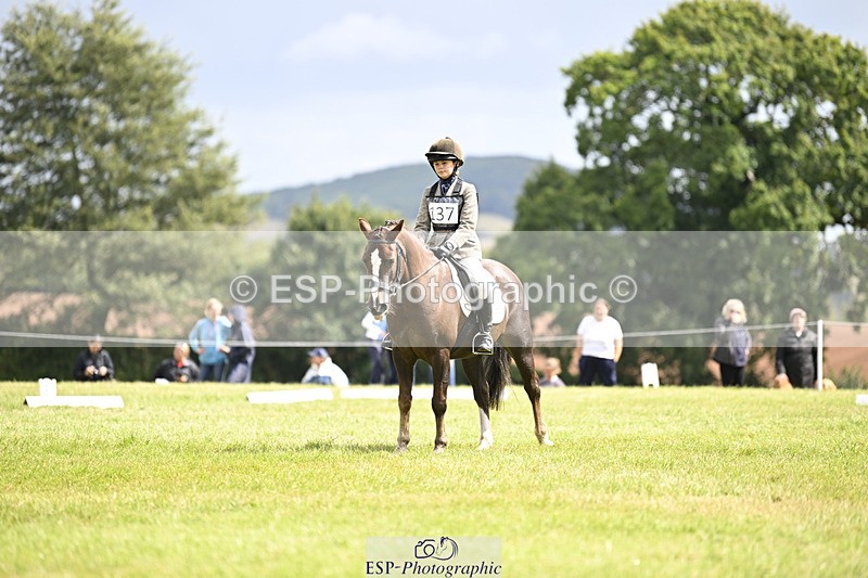 240824X-124920-26555 - D80 Section E and F 12.00 to 13.20