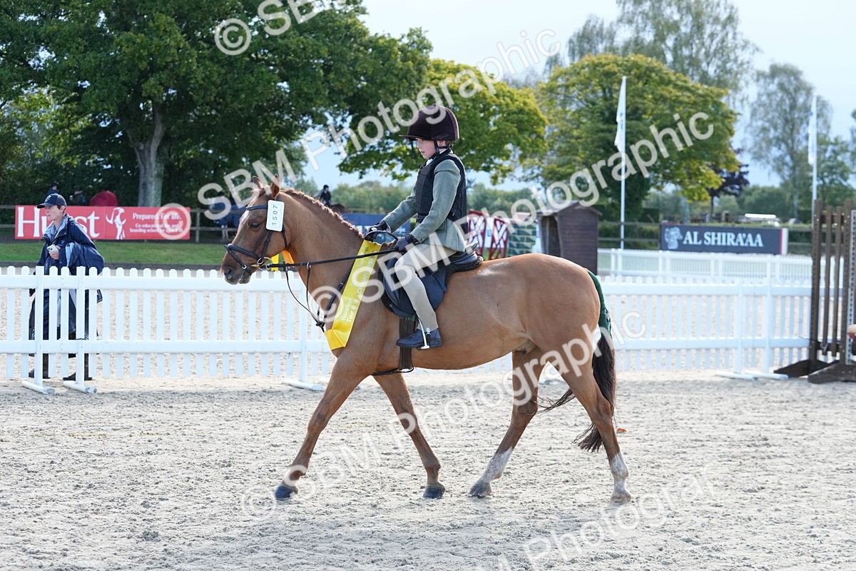 SBM_36413 - J5 - Junior Pony 50cm Championship