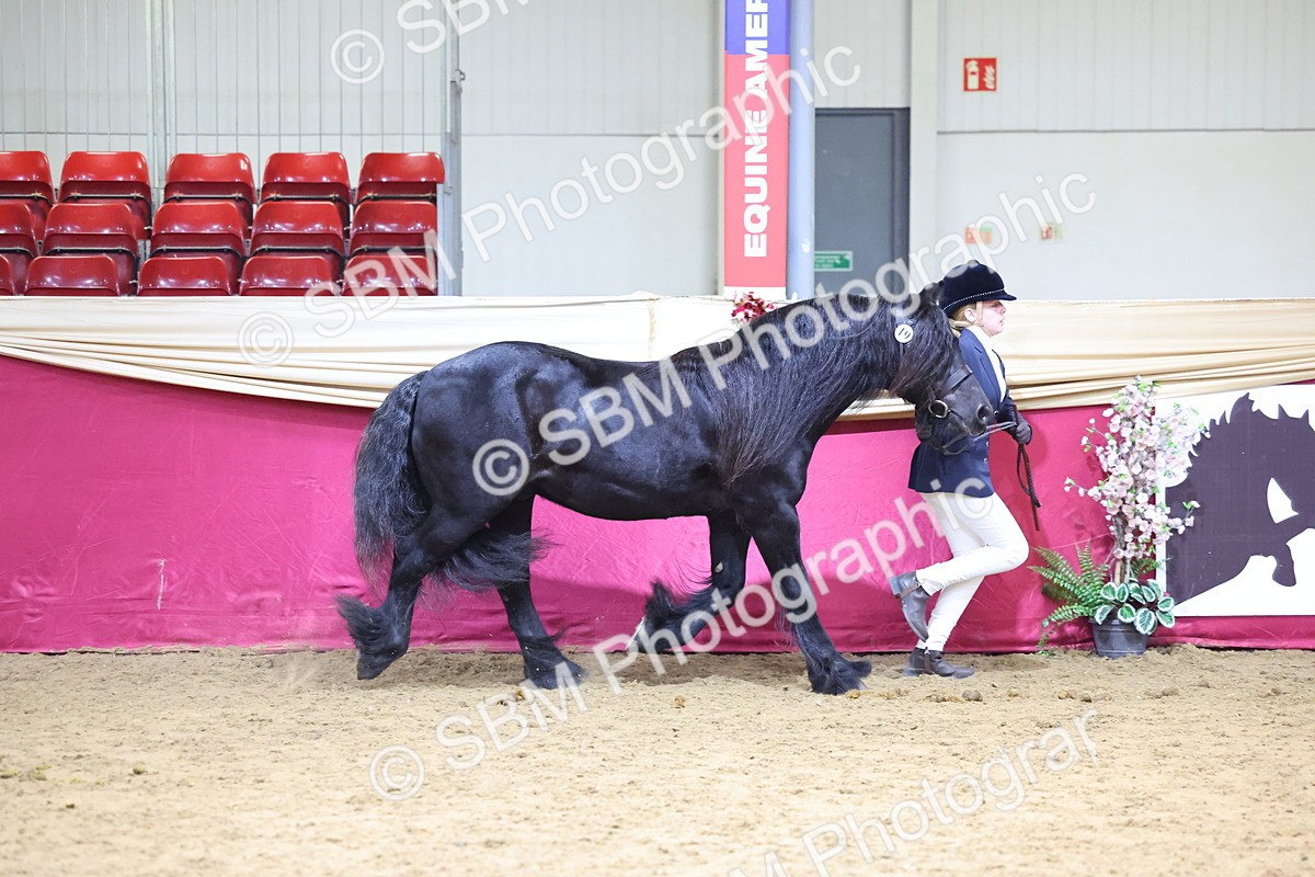 SBM_18680 - Class D IH Pony Champ
