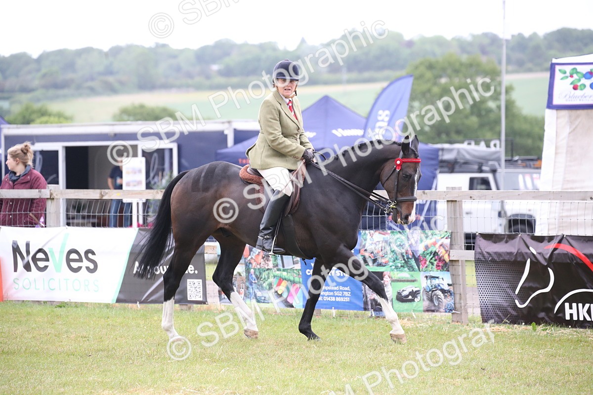 SBM_11407 - Class 94 - LIHS BSHA Racehorse to Showhorse