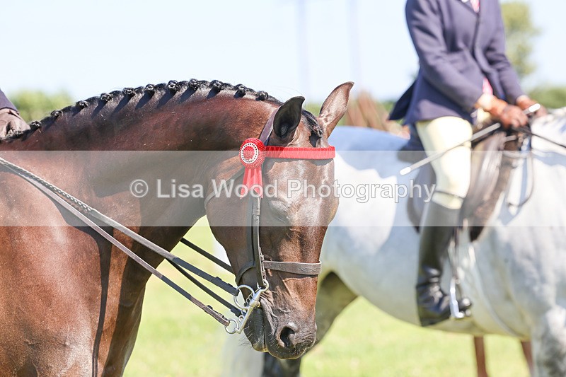 IMG_1964 - Class 33: Show Pony 148cm and under