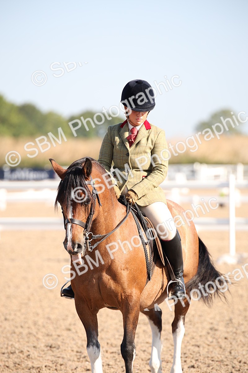 SBM_00741 - Class 14 Ridden M&M Wildcard