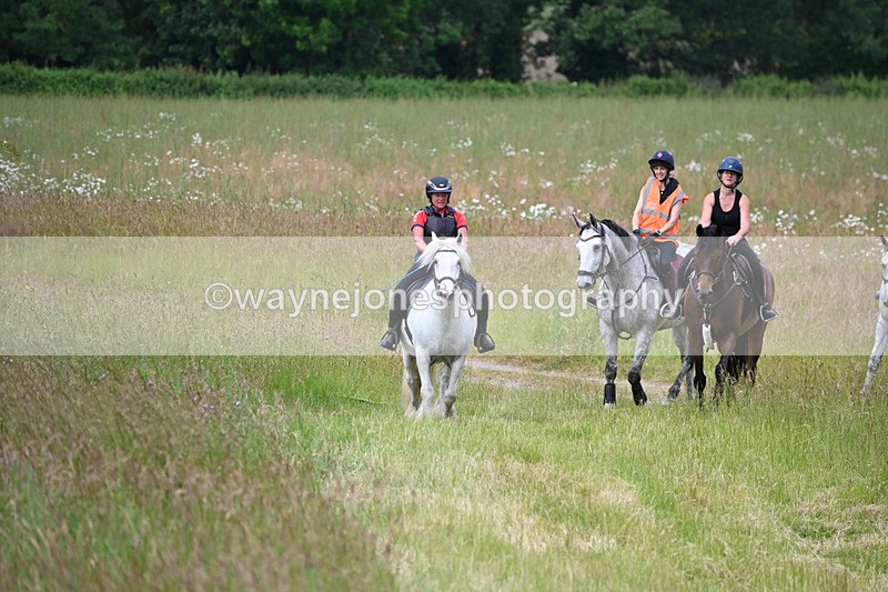WJ6_8029 - Camera 1 Gallops