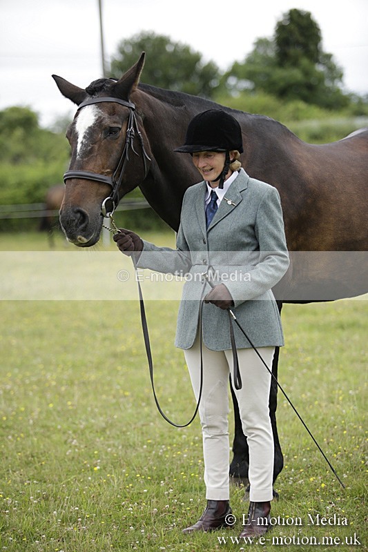 BVR160717-736 - Ring 2 BVRC Show 16/07/17