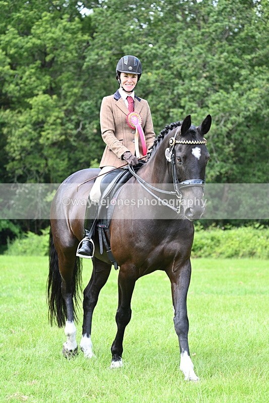 WJ7_1627 - Class 11 Condition & Turnout