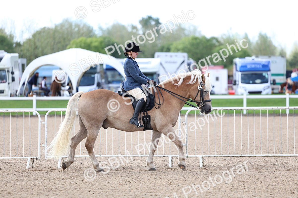 SBM_10035 - Class 304 - Ridden Part Bred Horse Pony