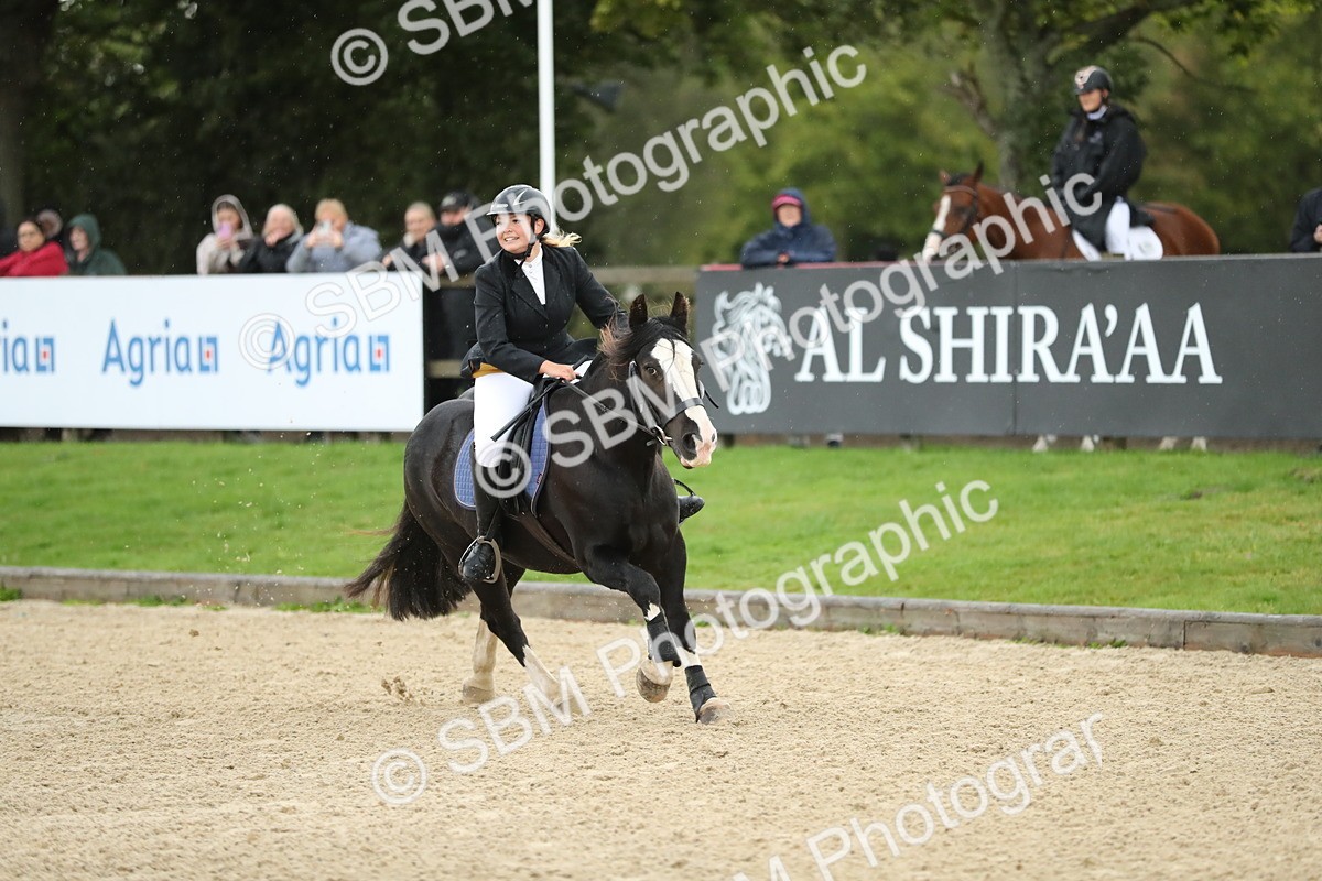 SBM_00931 - J27 - Senior Horse & Pony 50cm Championships