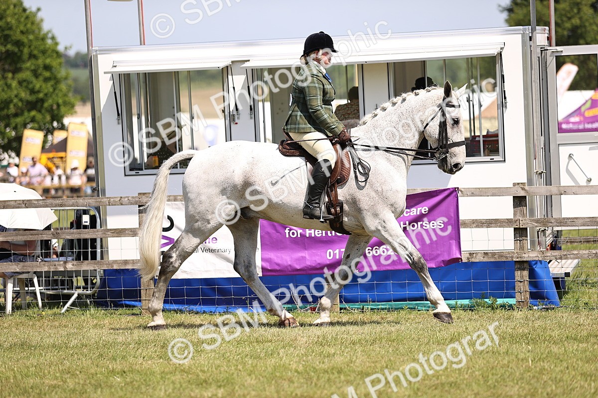 SBM_16088 - Class 79-80 - LIHS BSHA Rising Star Ridden Hunter