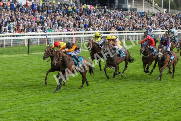 230923-Race 4-Aphelios-5323 - Race 4 3.45pm Jigsaw Sports Branding Handicap