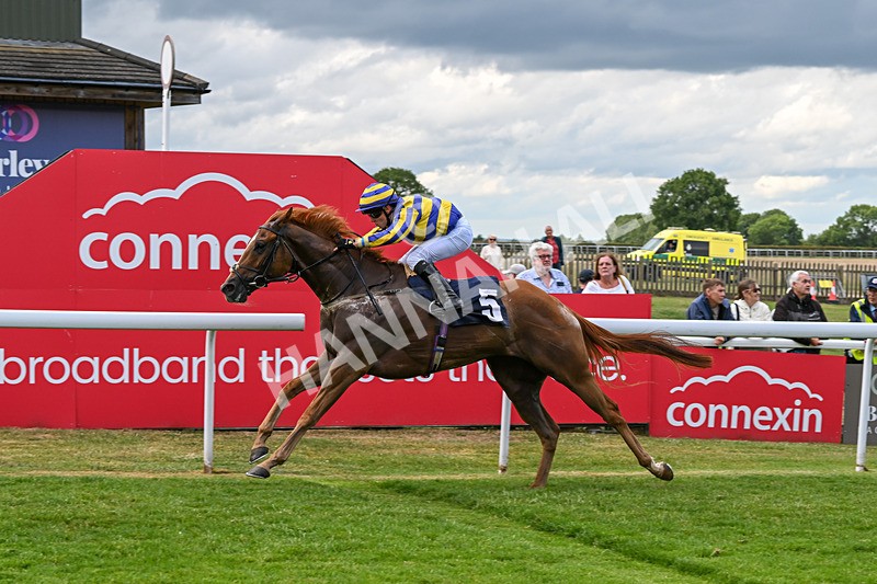 240625-Race 7-Azuinthejungle-9371 - Race 7