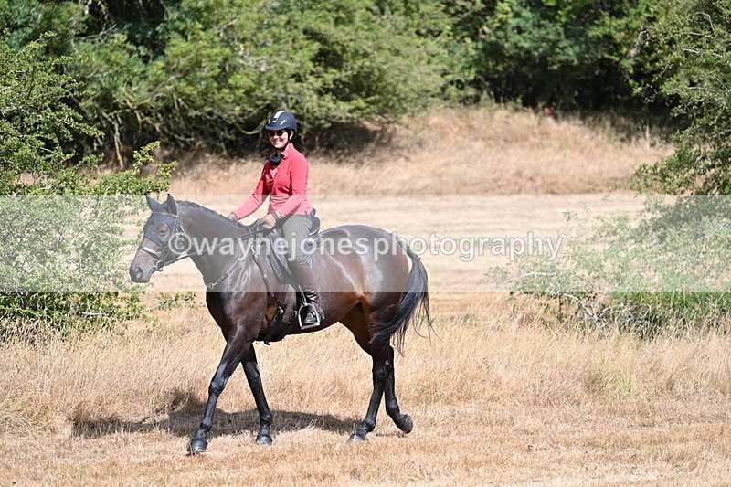 WJ7_8603 - Time 13:13 to 13:14