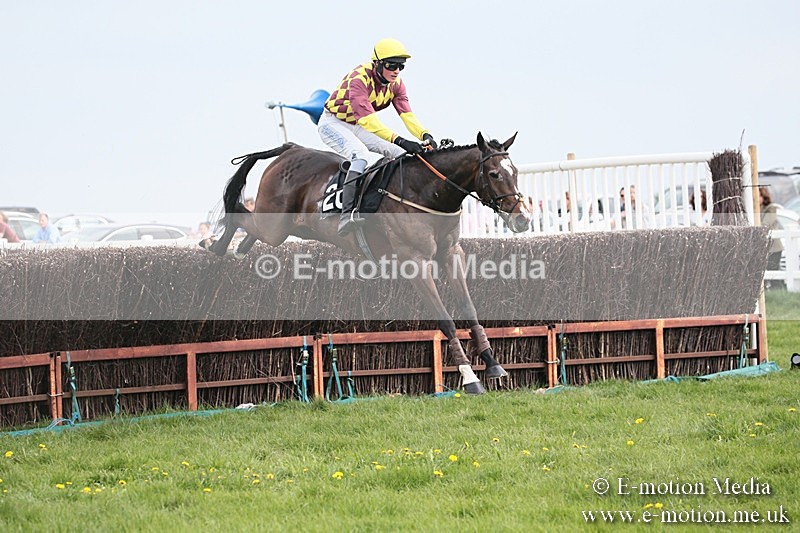 PtP 210418 194 - South & West Wilts Point-to-Point Larkhill 21/04/18