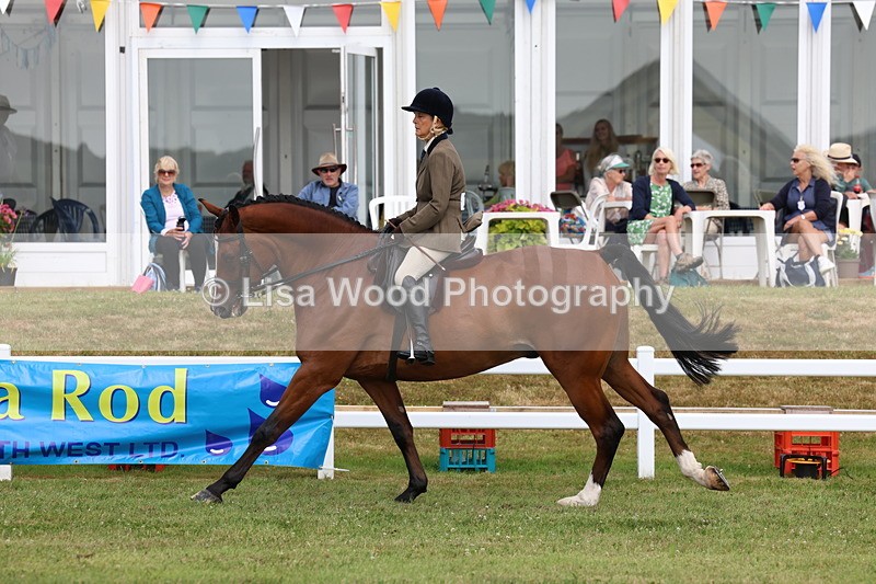 3E7A9330 - Class 4: Rising Star M/H Hunter