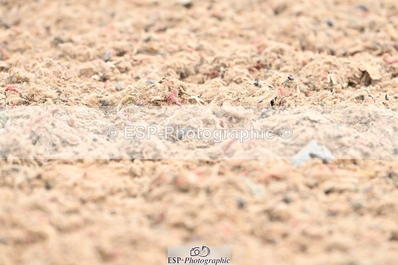 250705-103701-01291 - BRCP2 Sections BRCP2SNR, BRCP2JNR 10.14 to 10.56