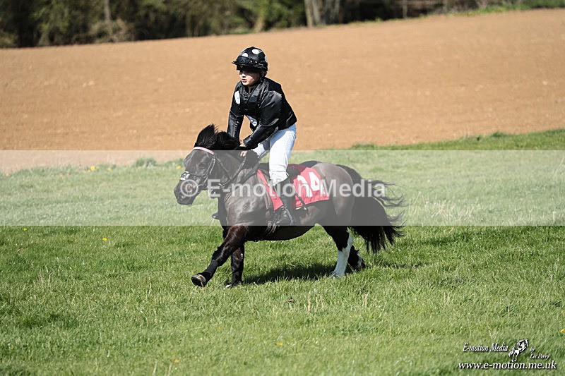 Shet 060426 315 - Shetland Pony Racing Paxford Races Easter Mon 06/04/26