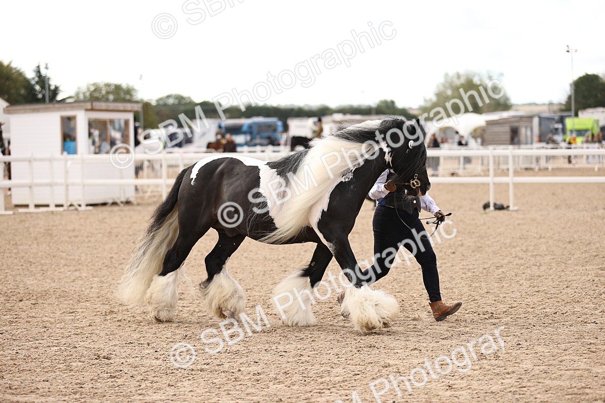 SBM_09299