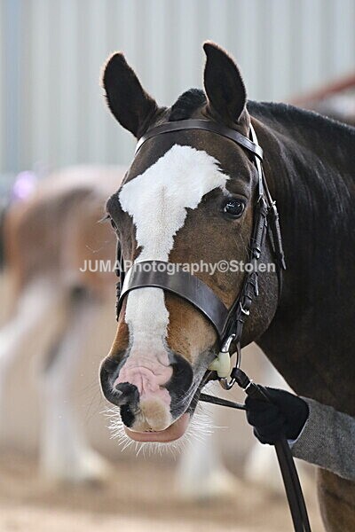 SIAL0331 - Indoor Classes