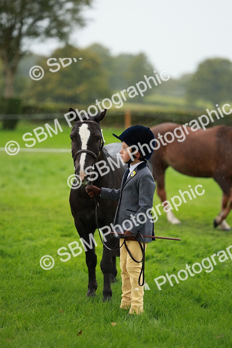SBM_34887 - S10 - Best In Hand Horse & Pony