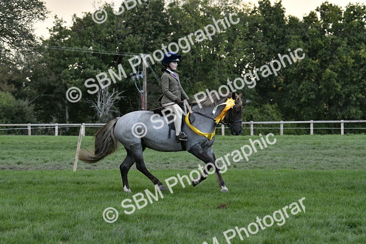 SBM_53305 - S14 - Riding Club Horse