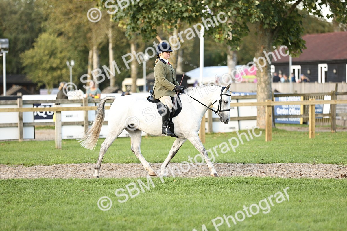 SBM_29541 - S7 - Novice & Newcomers Ridden Pony
