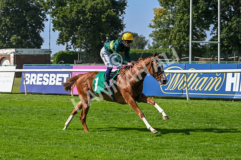 300824-Race 2-Consent-5731 - Race 2