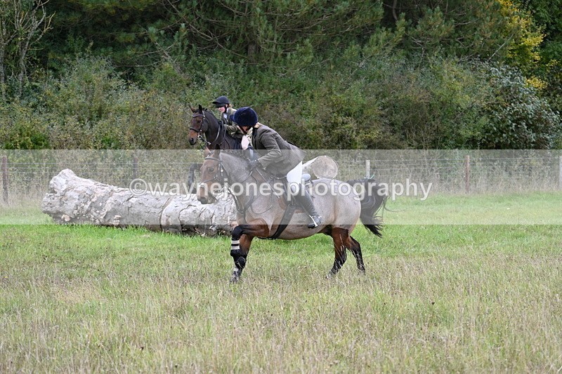 WJ7_3847 - Camera 1 Line 1