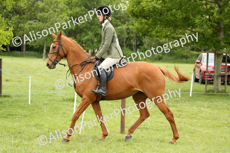 20250517-1499 - Class 22 - Open Working Hunter