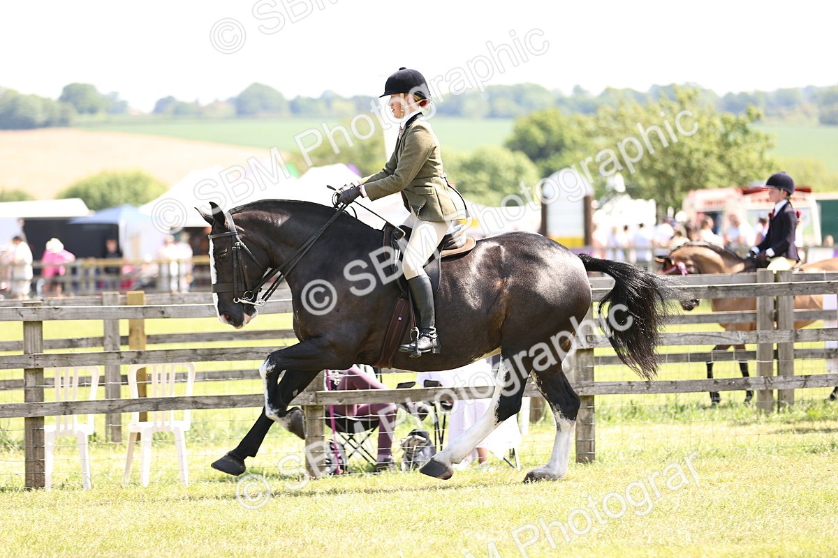 SBM_13790 - Class 77 - LIHS BSHA Rising Star Cobs