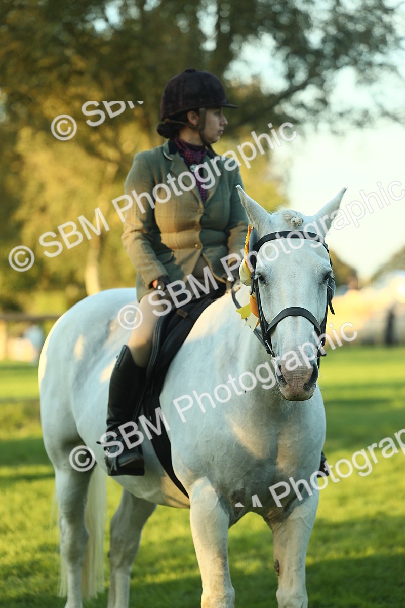 SBM_56544 - S14 - Riding Club Horse