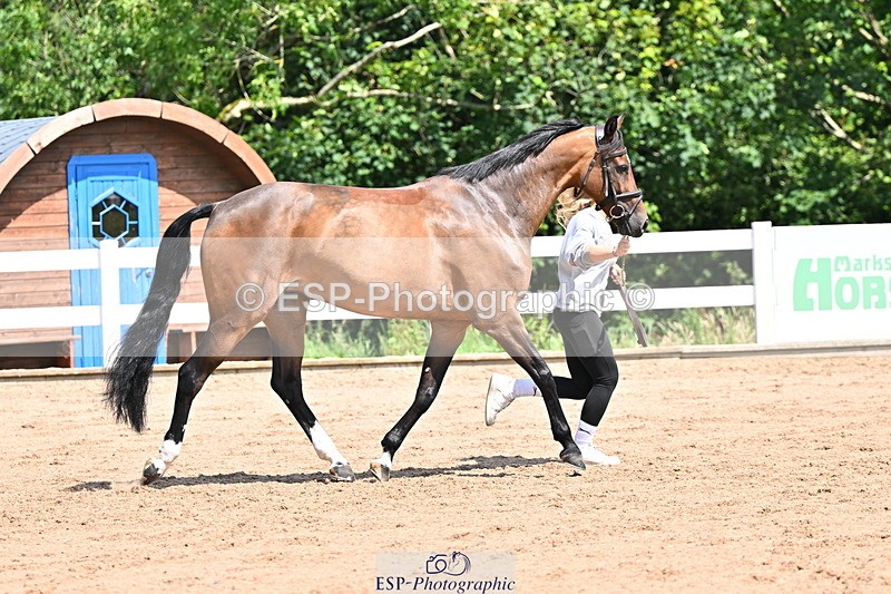 240718A-105244-01088 - Trot Up 12pm to 1pm