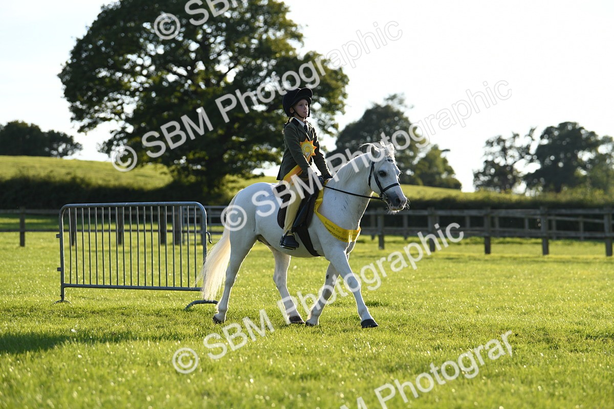 SBM_54206 - S23 - 1st Ridden Mountain & Moorland Pony