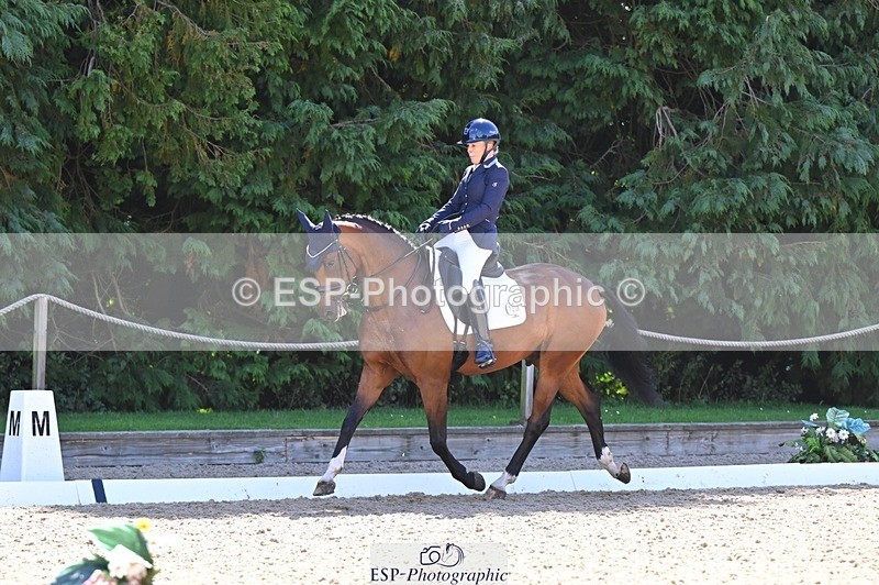 240809-111302-00531 - 133-Dawn.Bear-First.Taylor.Made