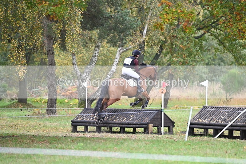 WJ6_3725 - 90cm Cam 1 Time 13:35 to 14:03