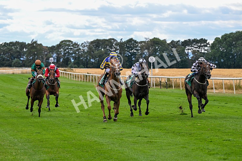 070826-Race 4-Azuinthejungle-1825 - Race 4 15.40pm Ladies' Day Saturday 5th September - Book Now Handicap