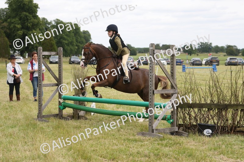 20260614-3012 - Class 22 - Open Working Hunter