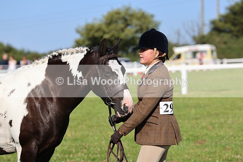 IMG_1400 - Class 28: Ridden Plaited Coloured Pony