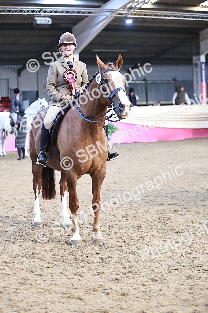 SBM_09128 - Class 12R - Regional Ridden Pre-Vet