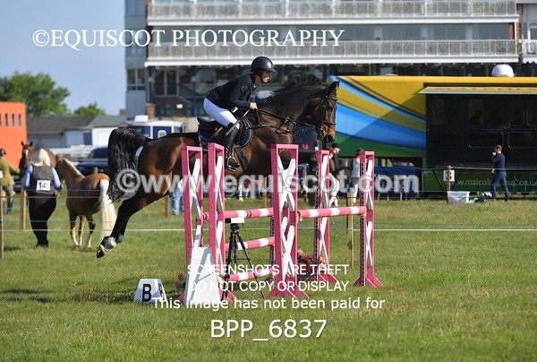 BPP_6837 - CLASS 1 Senior Newcomers/ 1.10m Open