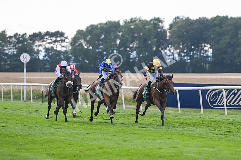 020825-Race 6-Big Leader-3471