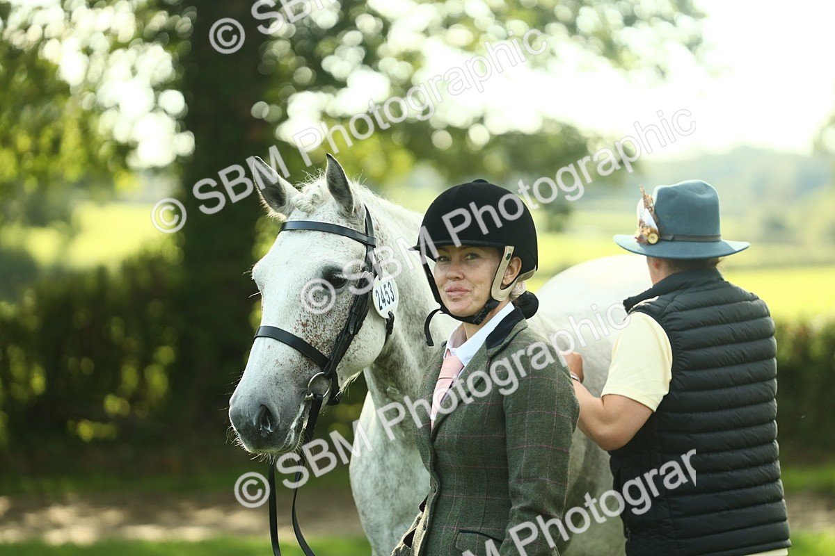SBM_52126 - S33 - Working Hunter & Working Show Horse