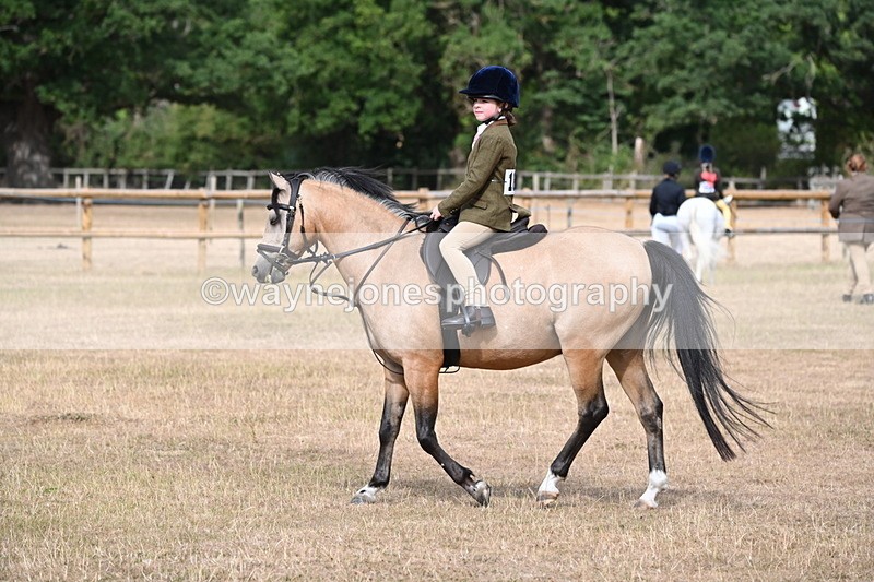 WJ6_7462 - Class 9 Tack and Turnout
